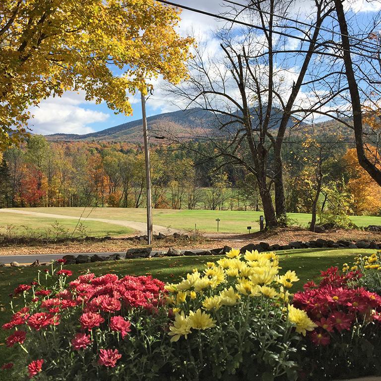 Carter Notch Inn Джексон Екстер'єр фото